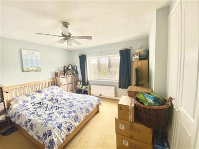 Picture 8